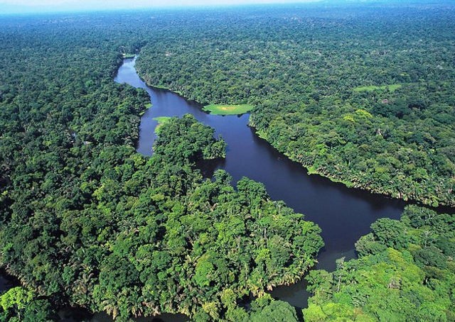 Tortuguero Beachfront